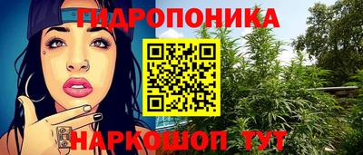 гидра Моздок