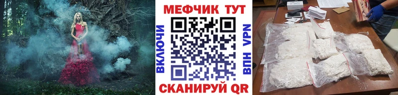 МЯУ-МЯУ мяу мяу Великий Устюг