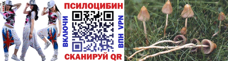 Псилоцибиновые грибы мухоморы  Великий Устюг 